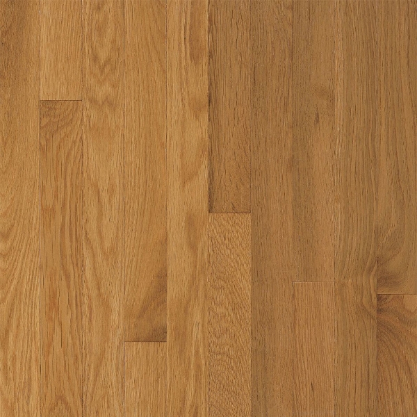 Picture of Bruce - Waltham Plank Cornsilk