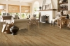 Picture of Bruce - Turlington Plank Oak 3 Densitek Natural