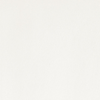 Picture of Stone Peak - Plane 30 x 30 Honed True White