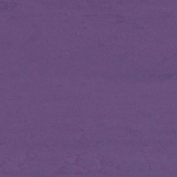 Picture of Altro - Dolce Essentials Basilica