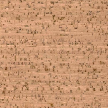 Picture of Globus Cork - Striata Texture 9 x 12 Bleached