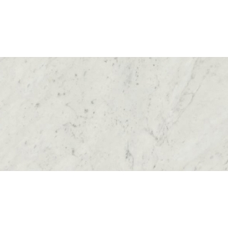 Picture of Stone Peak - Classic 2.0 12 x 24 Honed Bianco Carrara