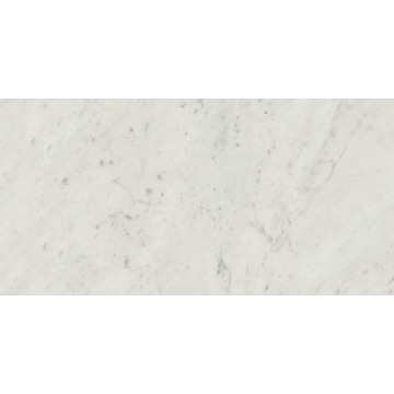 Picture of Stone Peak - Classic 2.0 12 x 24 Honed Bianco Carrara