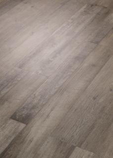 Picture of Fusion - Summit IXPE Denali