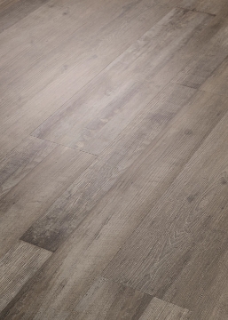 Picture of Fusion - Summit IXPE Denali