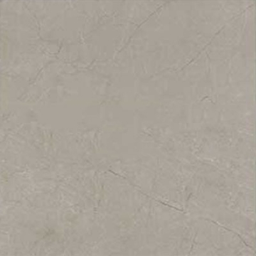 Picture of Marazzi - Classentino Marble 24 x 24 Matte Coliseum Gray