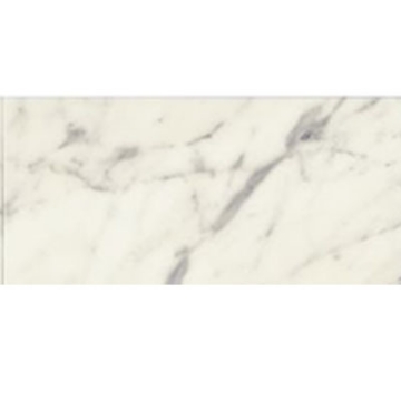 Picture of Bedrosians - Marble Stone 18 x 36 Calacatta Oro Honed