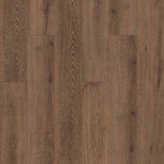 Picture of Fusion - Enhanced Planks Celo