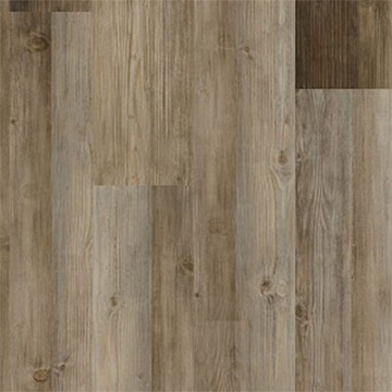 Picture of Anything Goes - COREtec Enhanced Plank Hunter Pine