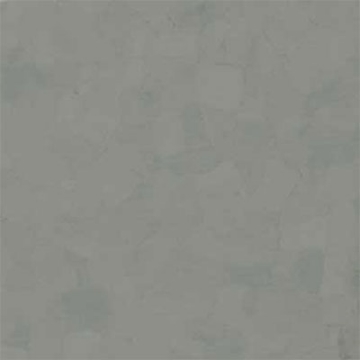 Picture of VPI Corp. - PRT Earthtones Feature Strip 2 x 36 Alberta Platinum