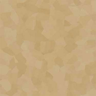 Picture of VPI Corp. - PRT Earthtones Feature Strip 4 x 36 African Granite