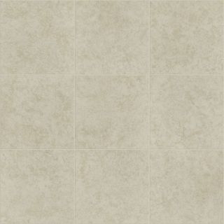 Picture of Shaw Floors - Empire 6 x 6 Latte