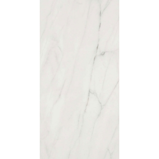 Picture of Shaw Floors - Maximus 12 x 24 Carrara