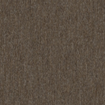 Picture of 5th and Main - Beyond Limits Fauna