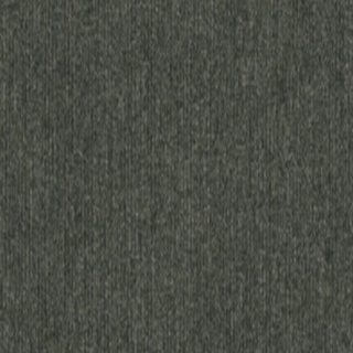 Picture of 5th and Main - Beyond Limits Flora