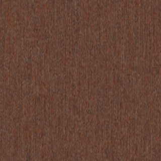 Picture of 5th and Main - Beyond Limits Terra