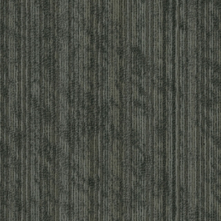 Picture of 5th and Main - Take Shape Sort Bind