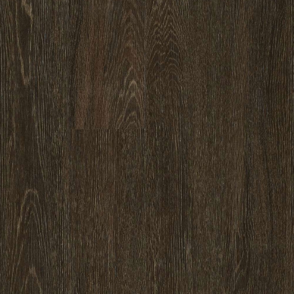 Picture of 5th and Main - Symbiotic 20 Heath