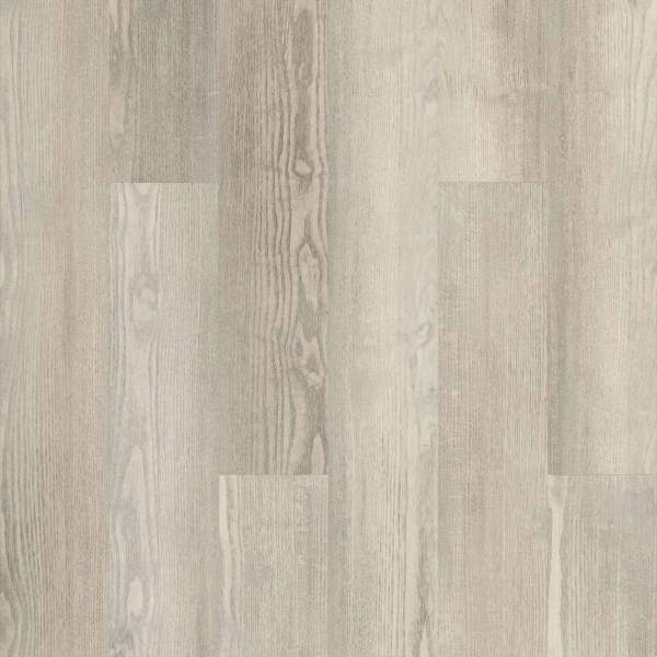 Picture of 5th and Main - Symbiotic 20 Shoreline