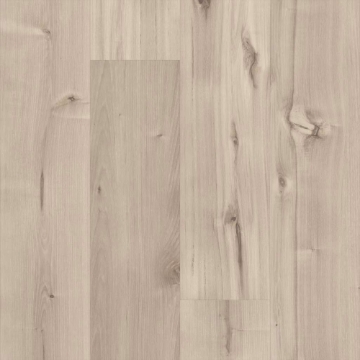 Picture of 5th and Main - Symbiotic 12 Canvas