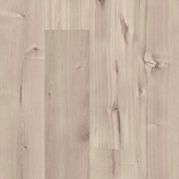 Picture of 5th and Main - Symbiotic 12 Canvas