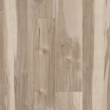 Picture of 5th and Main - Symbiotic 12 Capeview