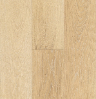 Picture of Lifecore - H2OME Designer Splash Studio Loft