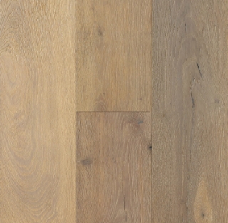 Picture of Lifecore - Brio Twilight