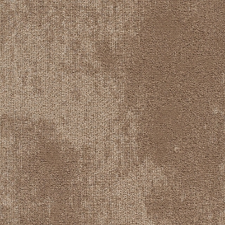 Picture of Joy - On Demand High Tide Nautilus