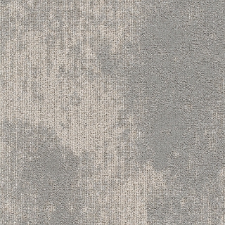 Picture of Joy - On Demand High Tide Oyster