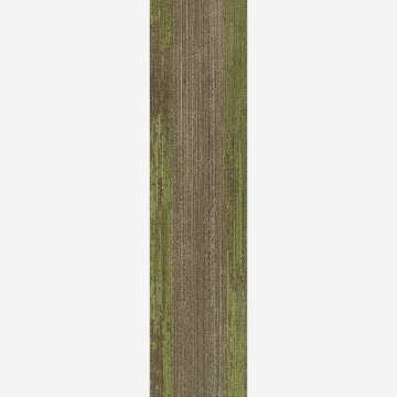 Picture of Joy - On Demand Ingrained Beech Grass