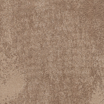 Picture of Joy - On Demand Static Camel