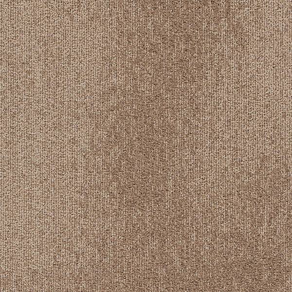 Picture of Joy - On Demand Understatement Nautilus