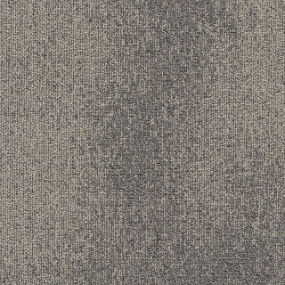 Picture of Joy - On Demand Understatement Stingray