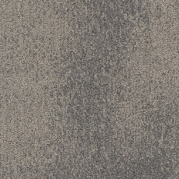 Picture of Joy - On Demand Understatement Stingray