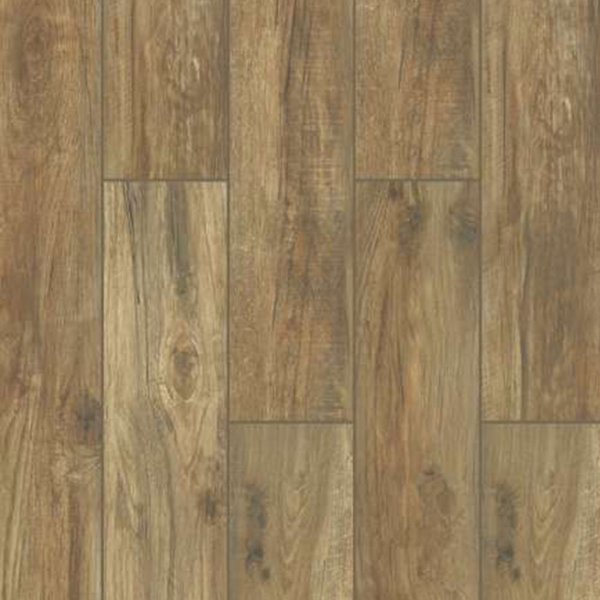 Picture of Shaw Floors - Bainbridge Honey