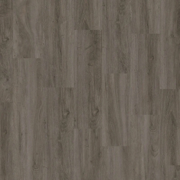 Picture of EarthWerks - Chassis Advantage Motorcoach