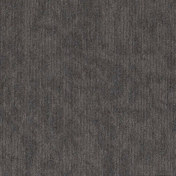 Picture of 5th and Main - Victory Contender Champion