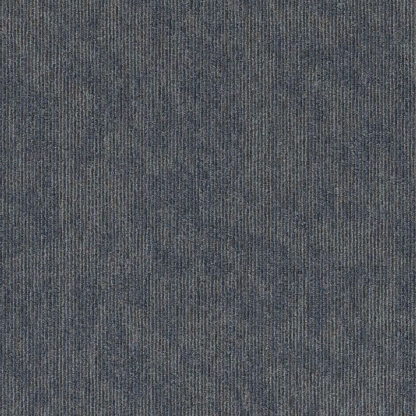 Picture of 5th and Main - Victory Contender Success