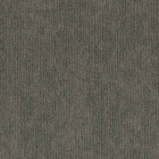 Picture of 5th and Main - Victory Contender Triumph