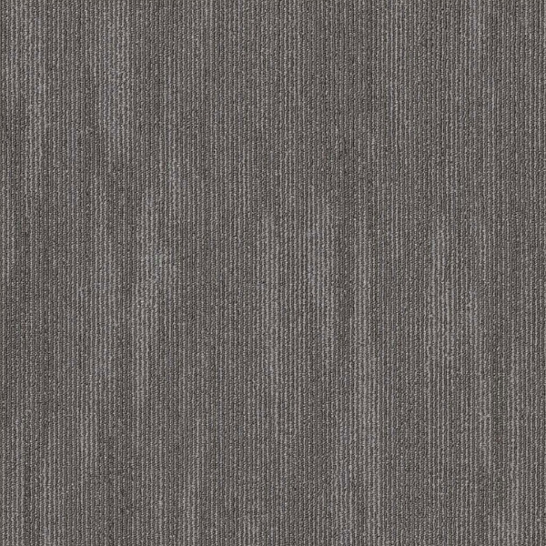 Picture of 5th and Main - Primal Belonging