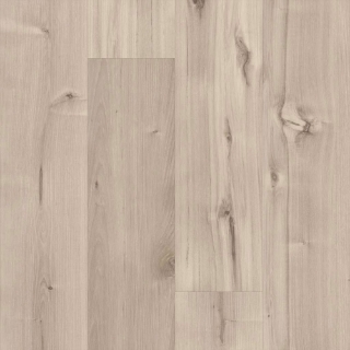 Picture of 5th and Main - Symbiotic 5.0 Canvas