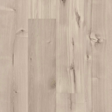 Picture of 5th and Main - Symbiotic 5.0 Canvas