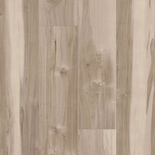 Picture of 5th and Main - Symbiotic 5.0 Capeview