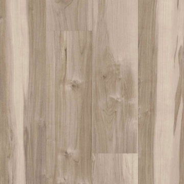 Picture of 5th and Main - Symbiotic 5.0 Capeview