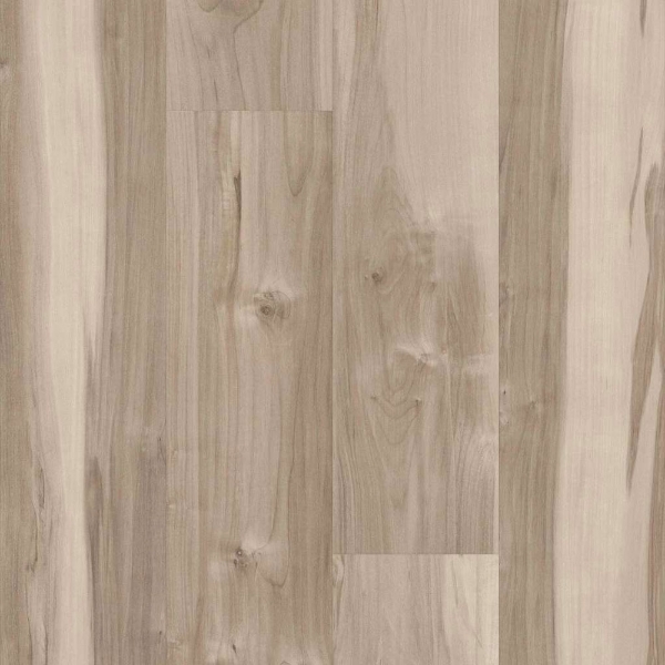 Picture of 5th and Main - Symbiotic 5.0 Capeview