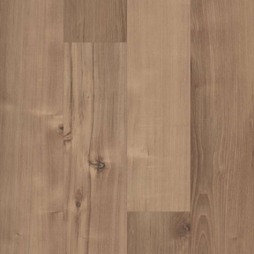 Picture of 5th and Main - Symbiotic 20 Sennawood