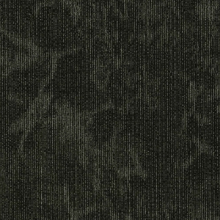 Picture of 5th and Main - Cultered Esthetic Collective