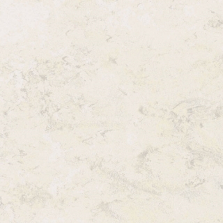 Picture of Toli International - Fasolplus Cotton