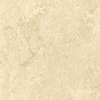 Picture of Toli International - Fasolplus Flax